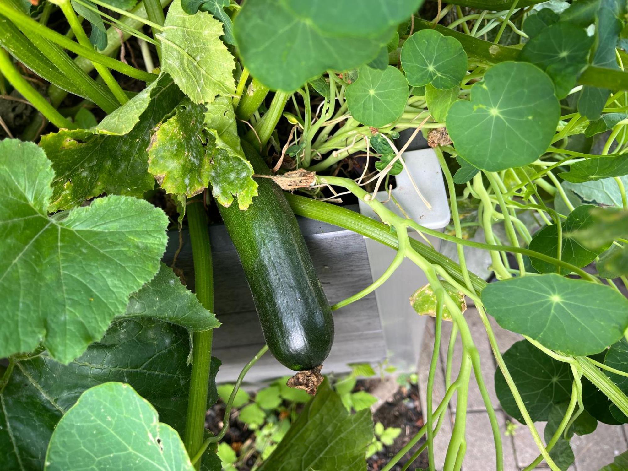 마그데부르크 Elbidyll 아파트 외부 사진